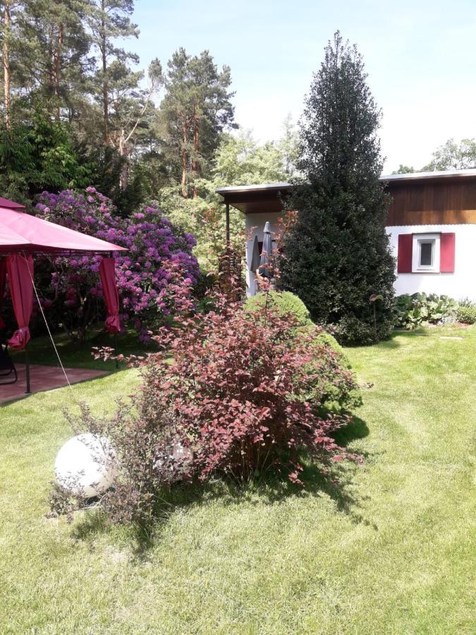 Ferienhaus Am Langen See Heidesee Zewnętrze zdjęcie
