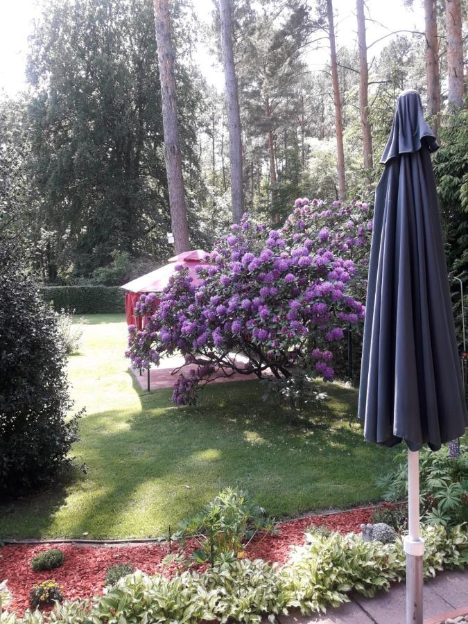 Ferienhaus Am Langen See Heidesee Zewnętrze zdjęcie